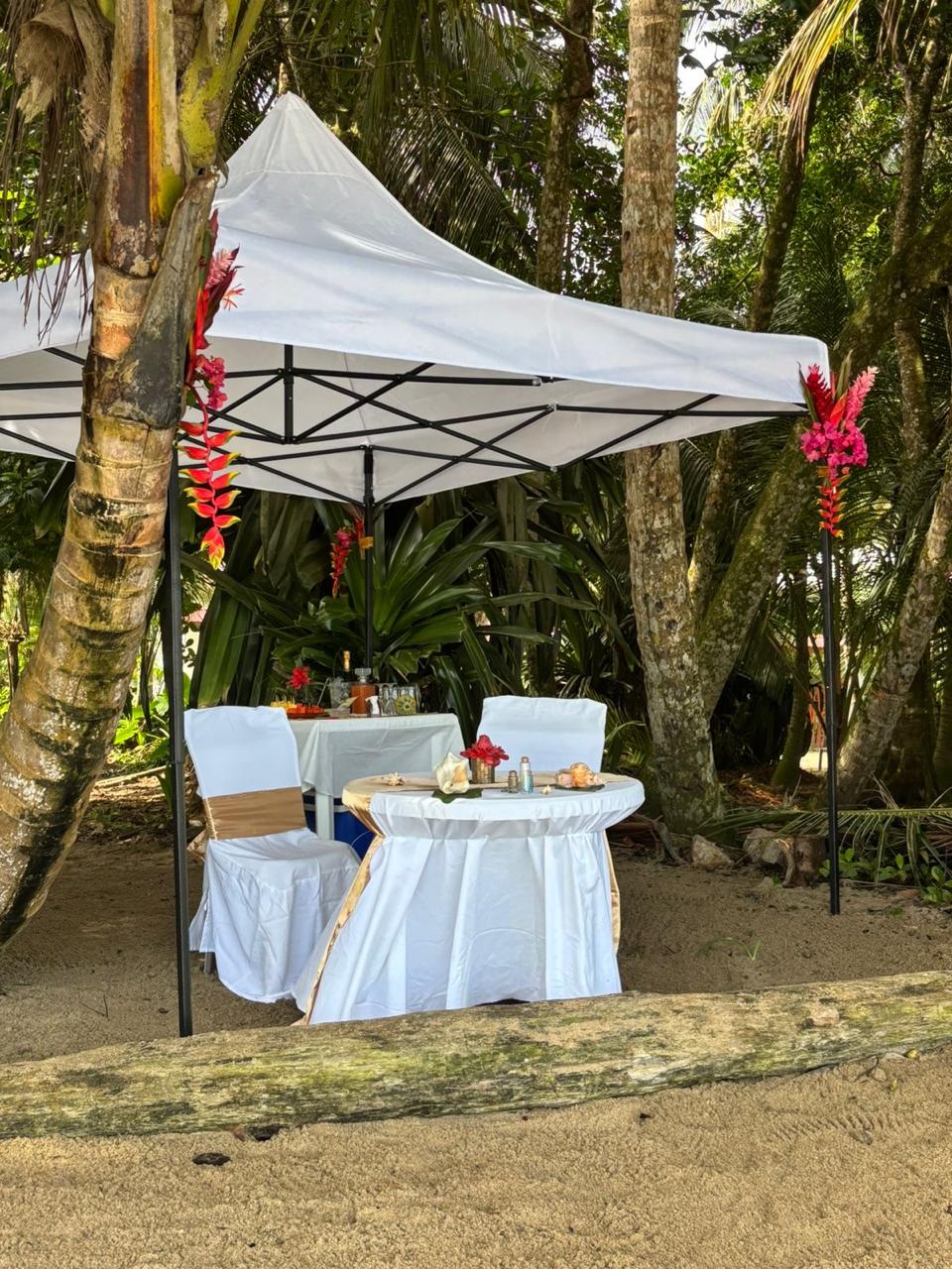 Private jungle-beach tent set up with white draped chairs